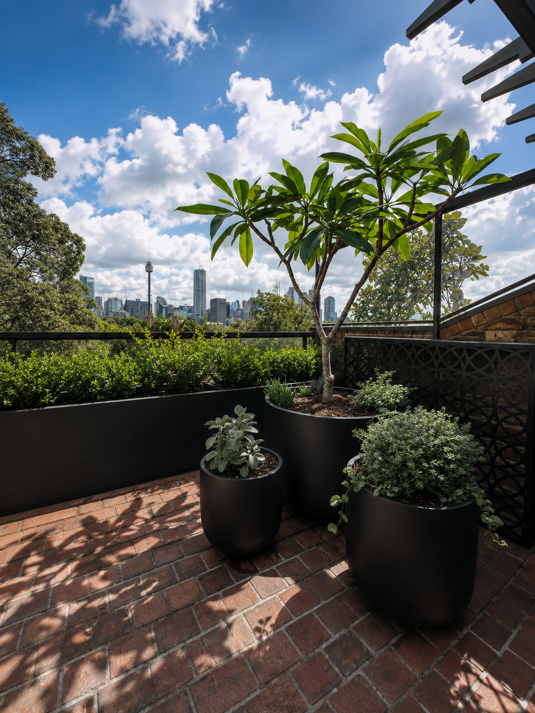 Potted frangipani and succulents on brick-paved rooftop terrace with Sydney skyline