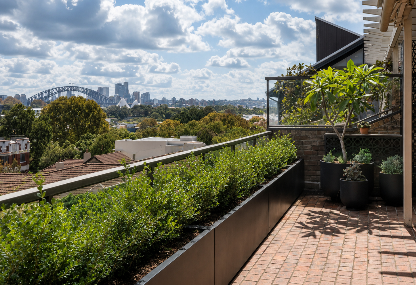 Rooftop planter boxes with clipped hedging and views to Sydney Harbour Bridge