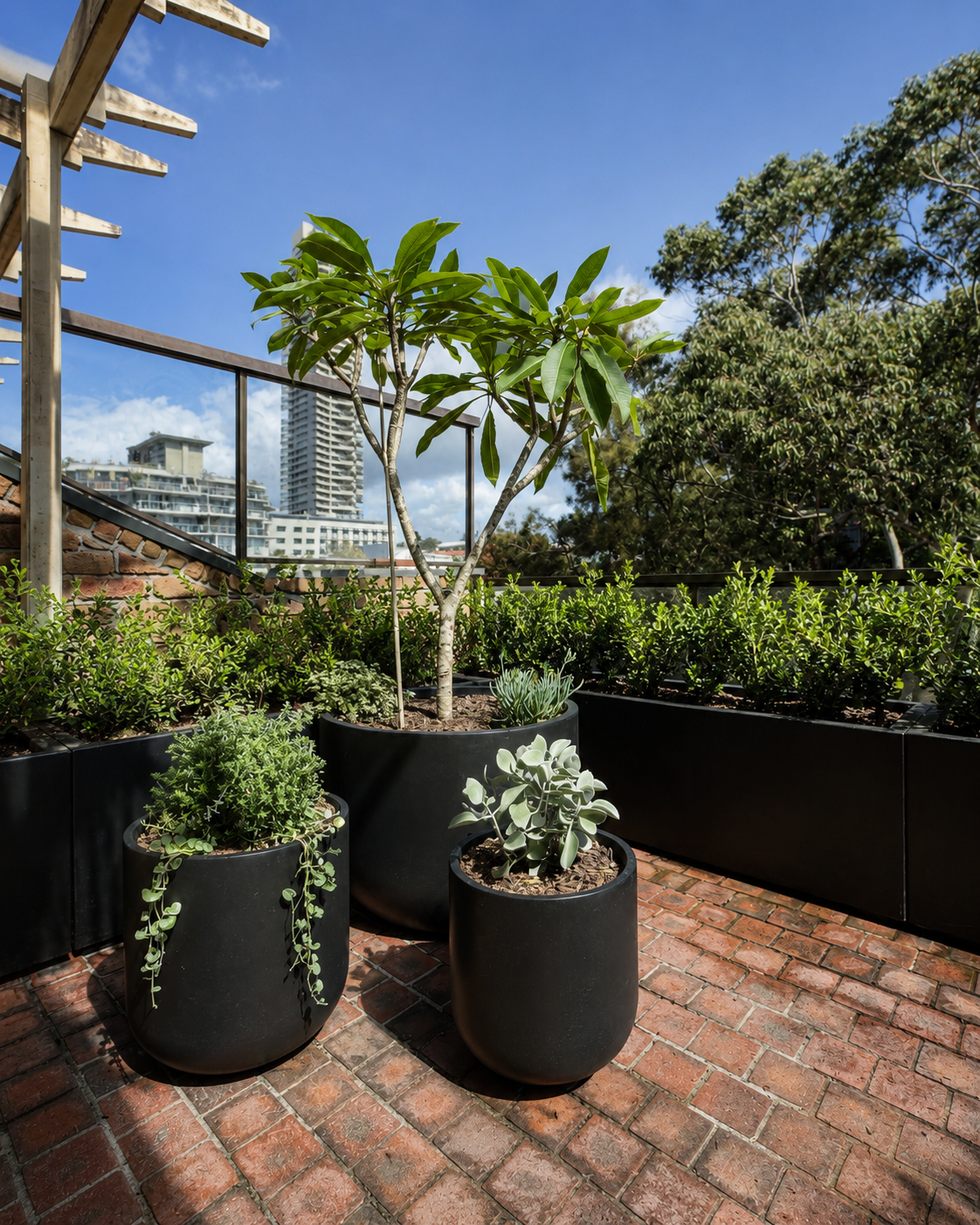 Grouped pots with frangipani and trailing plants on brick-paved terrace