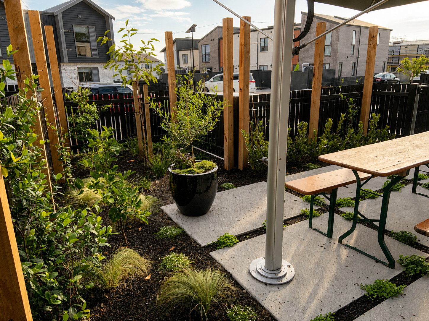 Courtyard garden with concrete pavers, young plantings, timber posts and bench seating