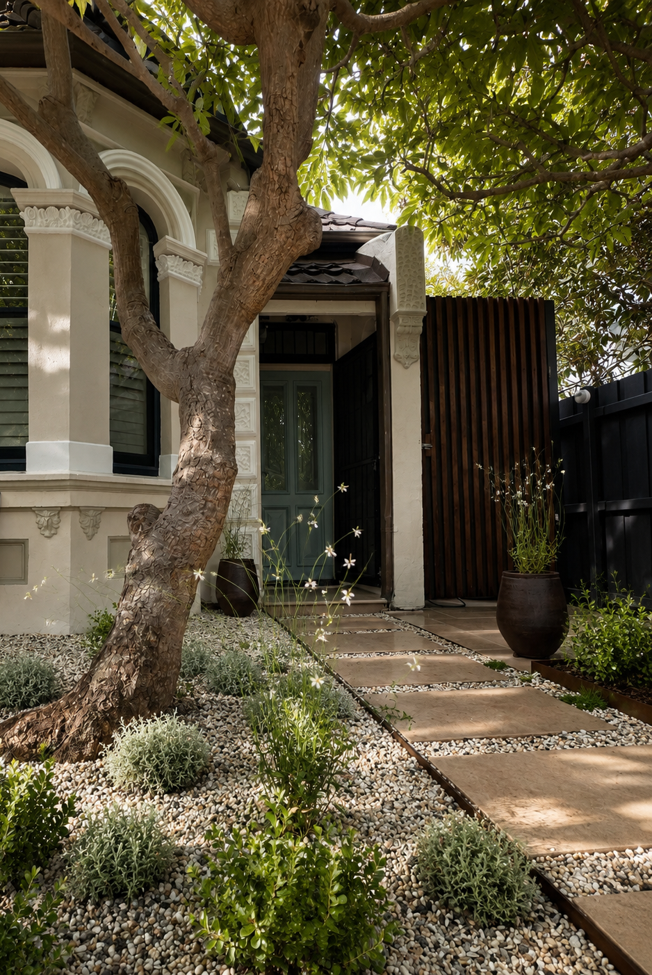 Garden path under mature tree canopy with pebble mulch and low plantings
